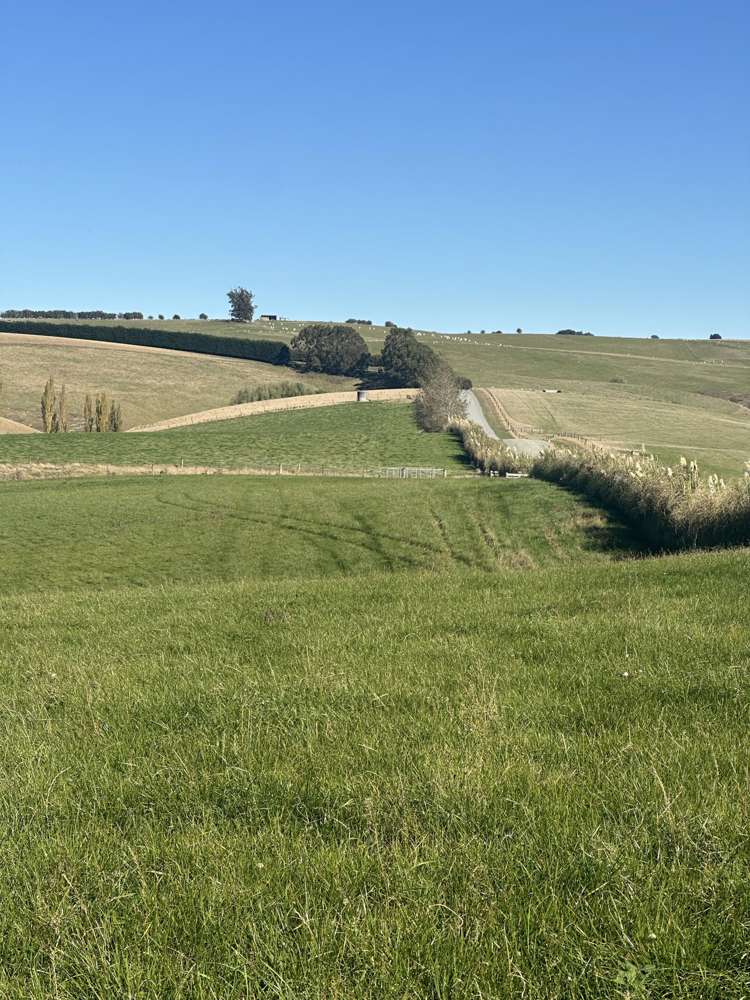 83 Waitahuna Cemetery Road Waitahuna_16