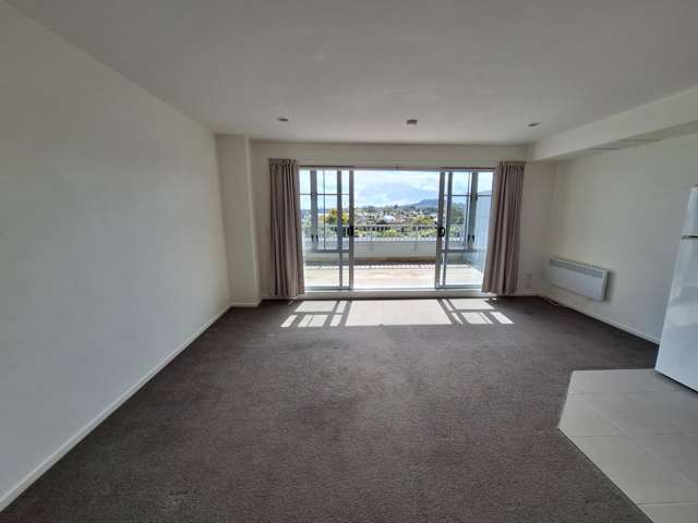 1b/3 Keystone Avenue Mount Roskill_2