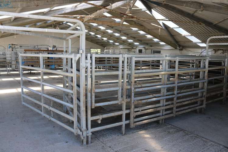 878 Downs Road Edendale_7