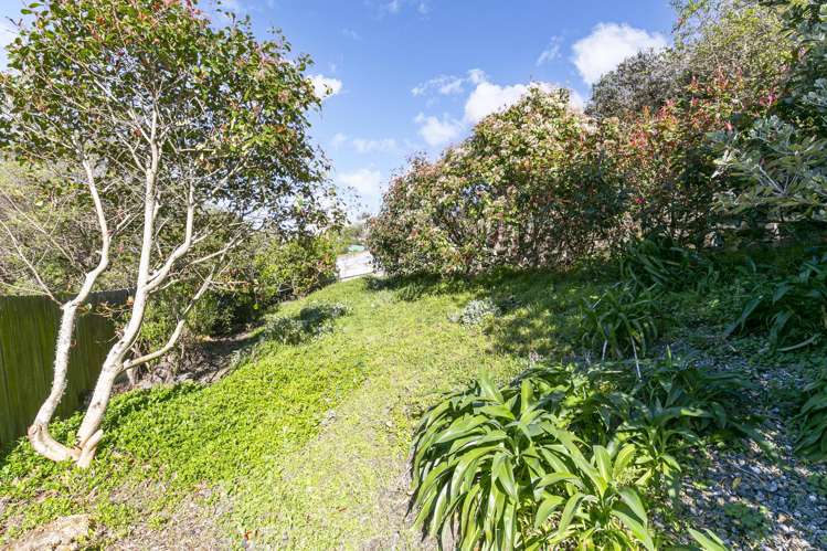29 McColl Street Vogeltown_13
