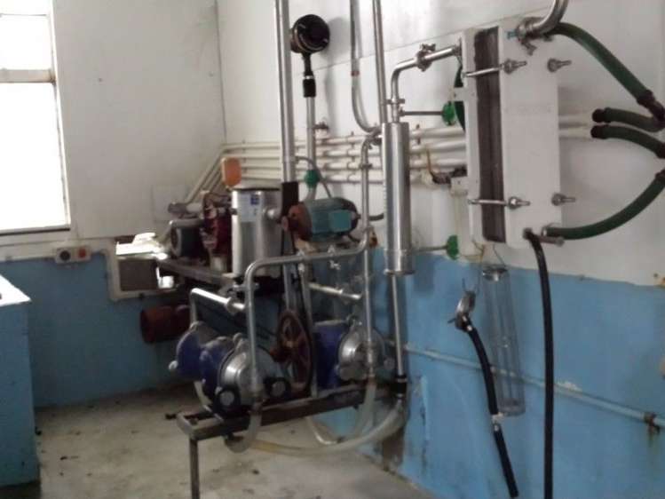 1102 Mangorei Road Mangorei_8