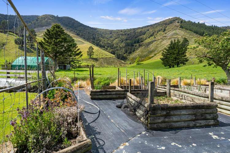 650 Ronga Road Rai Valley_23