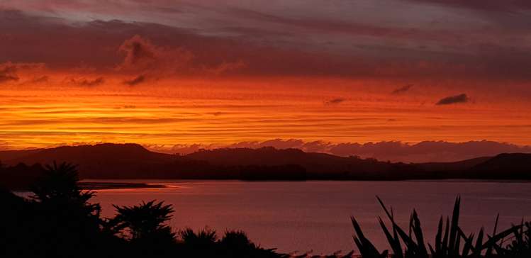 572a Pahi Road Paparoa_11