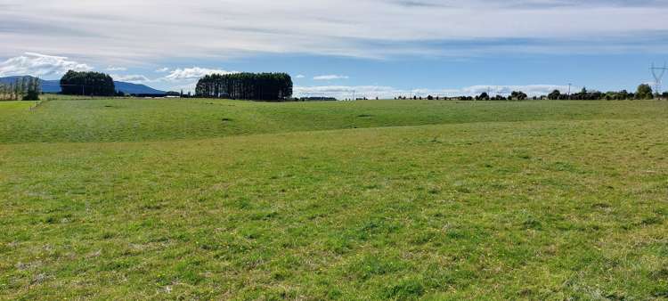 1216 Waimumu Road Waimumu_11