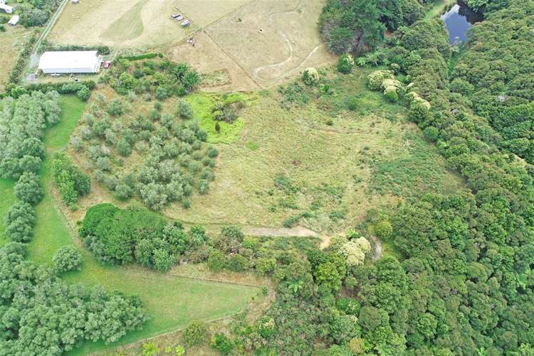 3699 Highway 22 Whangape_23