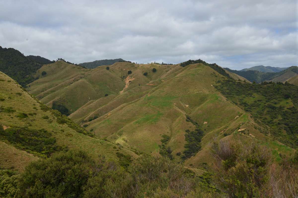 1295 Marokopa Road_2