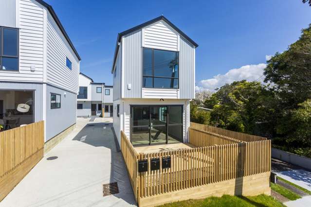 Entry-Level, New Contemporary Homes