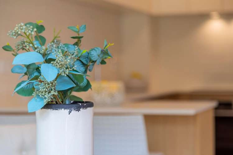 4/11 Rengarenga Rise Fairview Heights_23