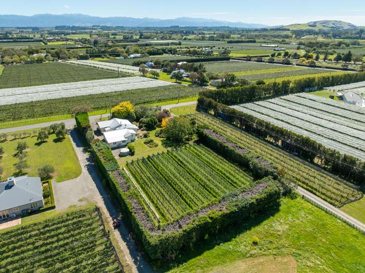 190 Regent Street Martinborough_23