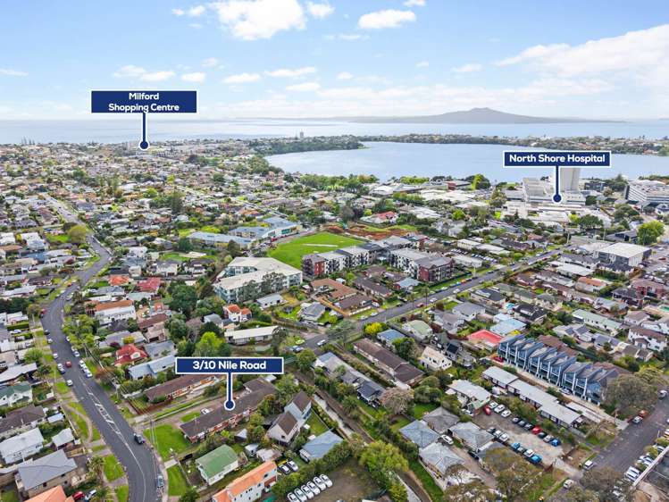 3/10 Nile Road Milford_16