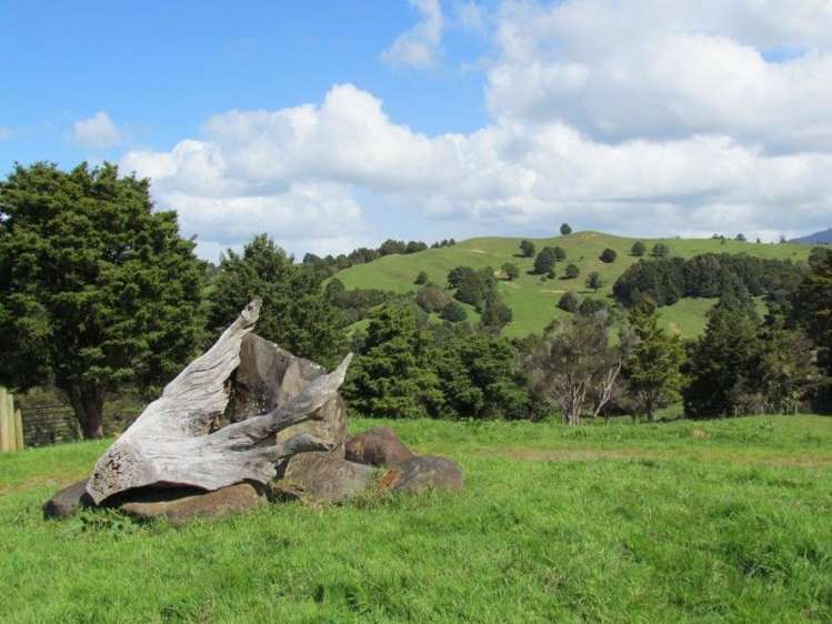 1871 State Highway 14 Mangapai and Surrounds_33