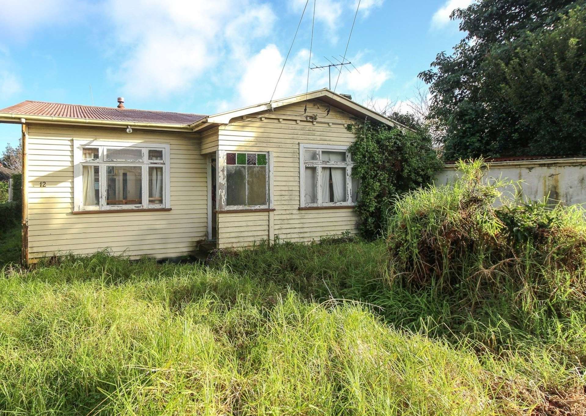 12 Thorley Street Mount Eden_0