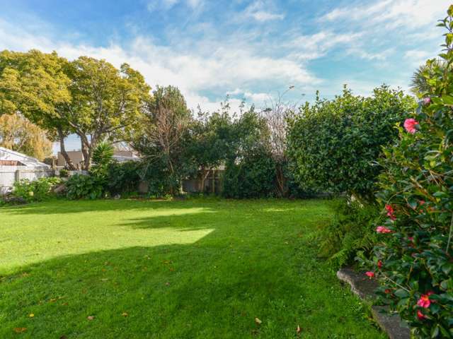 504 Wellwood Street Saint Leonards_3