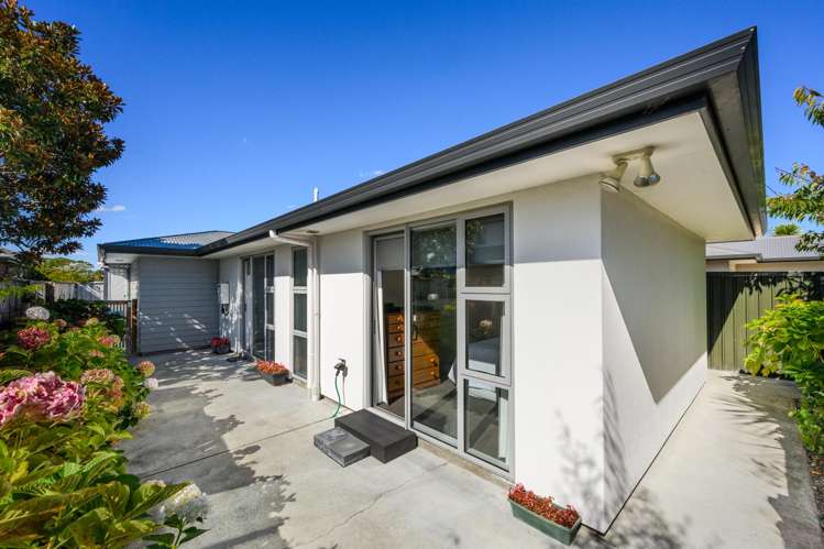 65B Albert Street_0