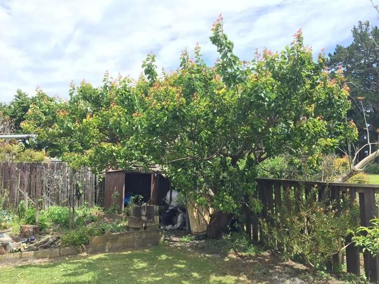 7 Heron Place Waiuku_17