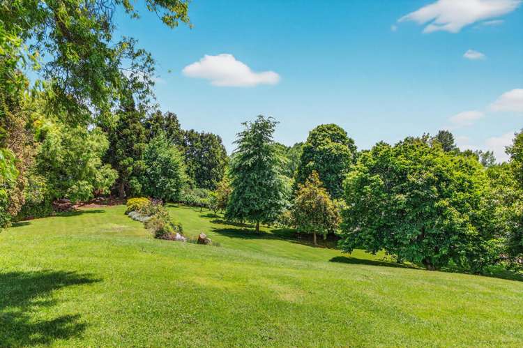 151A Palmer Mill Road Wairakei_32