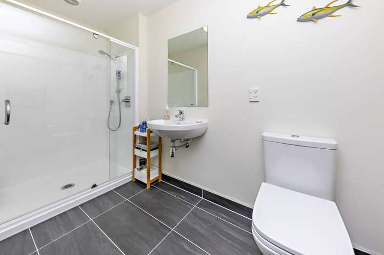 1 Warbler Crescent Papakura_16