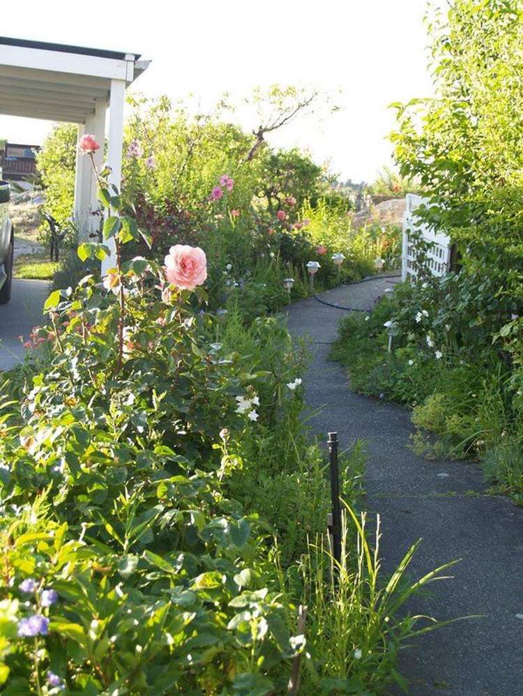 10 Chapple Street Alexandra_17