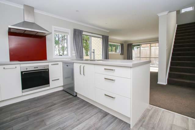 3/120 Mahoe Street 1107_3