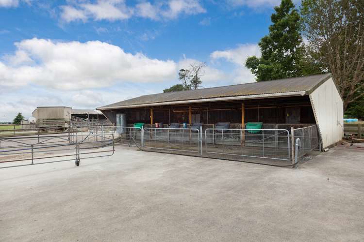 148 Troughton Road Matamata_9