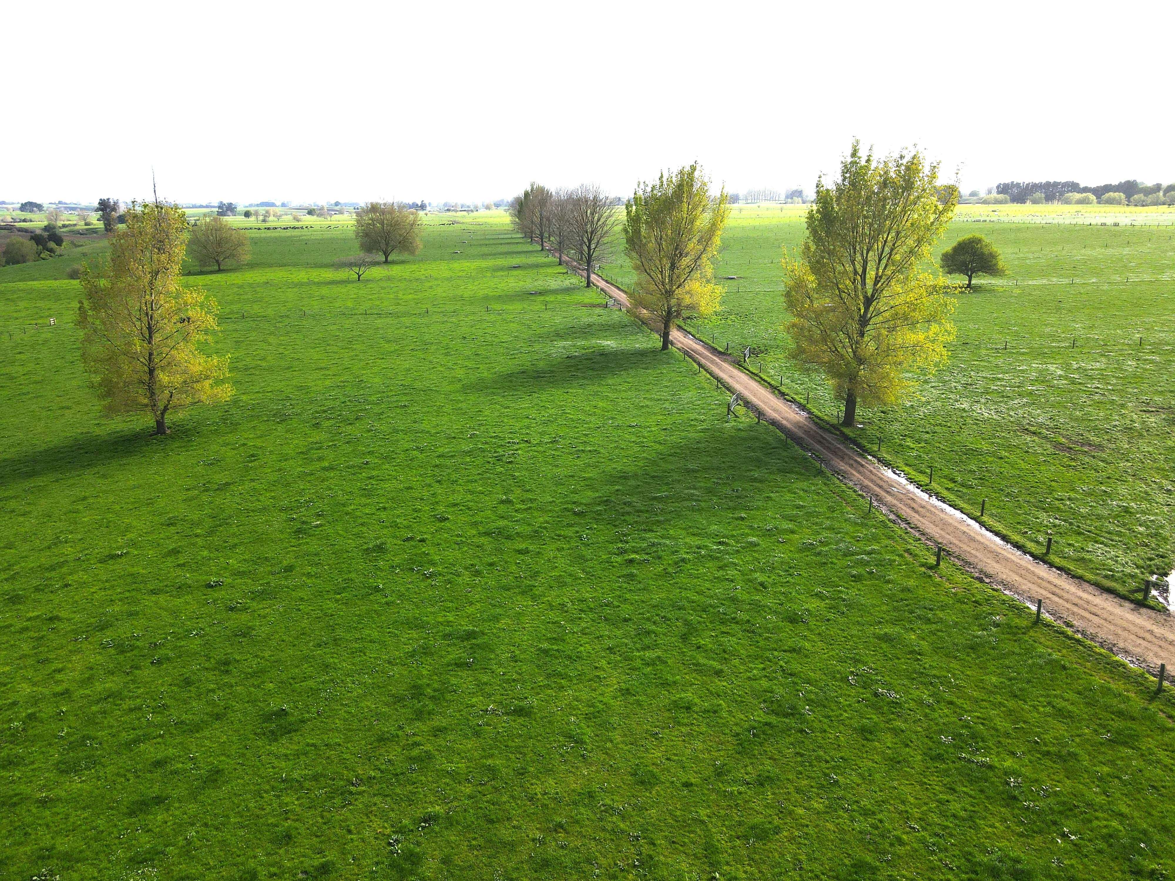 142 Matai Road Matamata MatamataPiako Rural Property For Sale