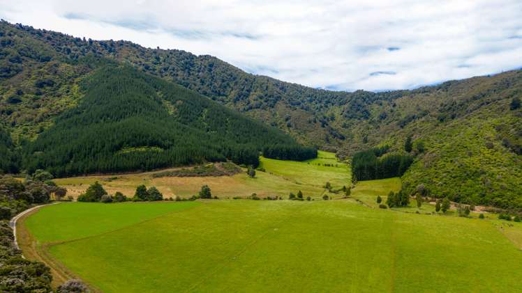 349 Anakiwa Road Anakiwa and Surrounds_17