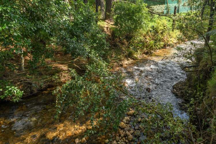 44 Walker Road West Aongatete_30