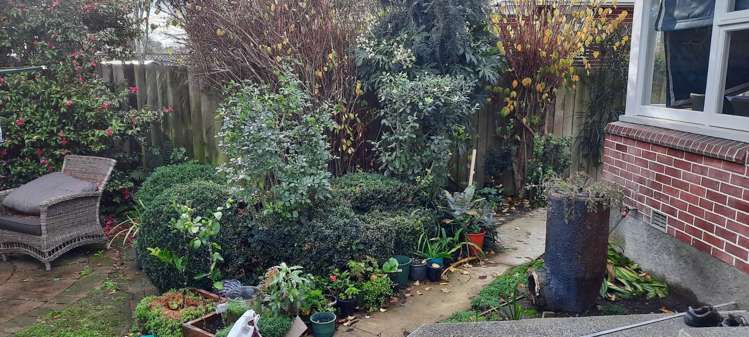 123 Stanbury Avenue Somerfield_19