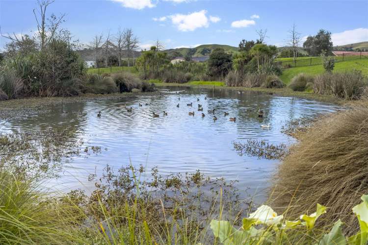 35 Cabeleigh Drive Helensville_14