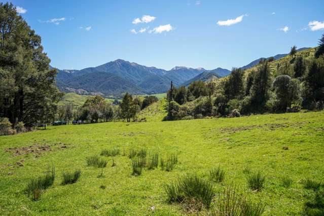 Owen Valley East Road Tasman_2