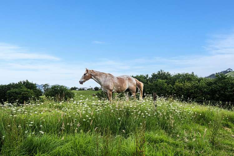 35A Valley Road Hikurangi_21