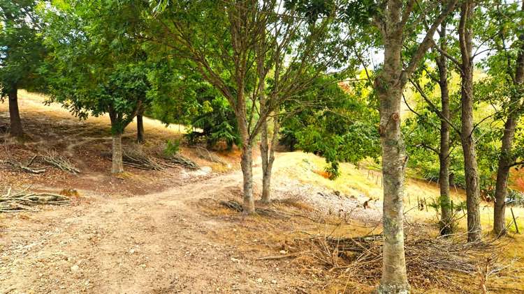 337 Old Coach Road Upper Moutere_5