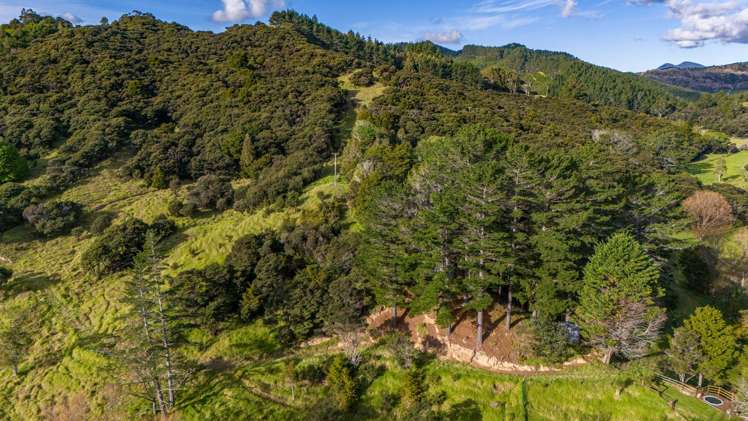 113 Puhata Road Herekino_28