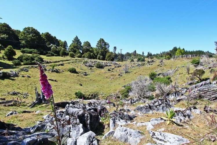 Takaka Hill Highway Motueka_6