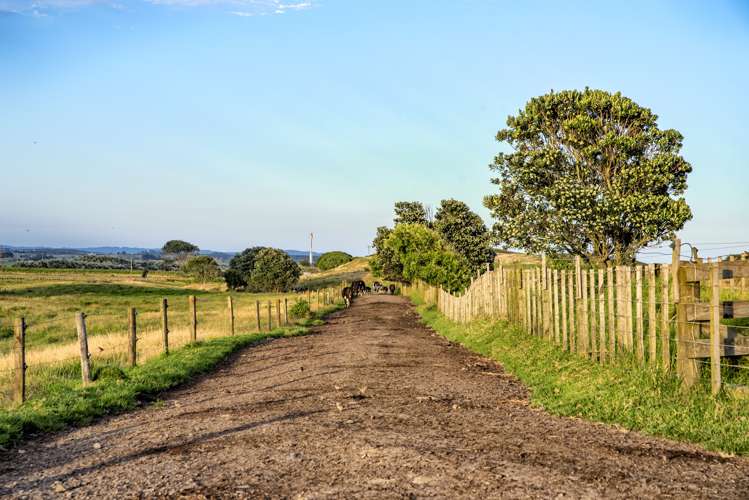 30 Snell Road Opotiki Coastal_12