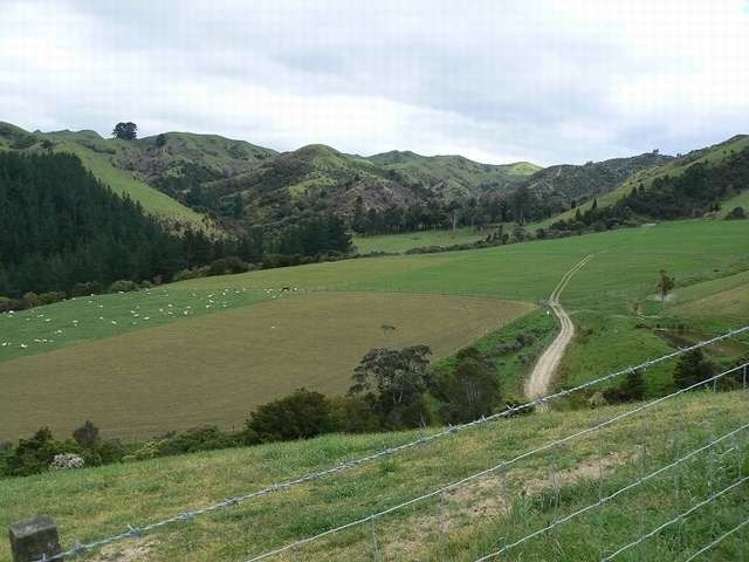 357 Summerhill Road Hinakura_6