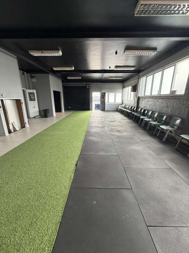 58 Frost Road Mount Roskill_1