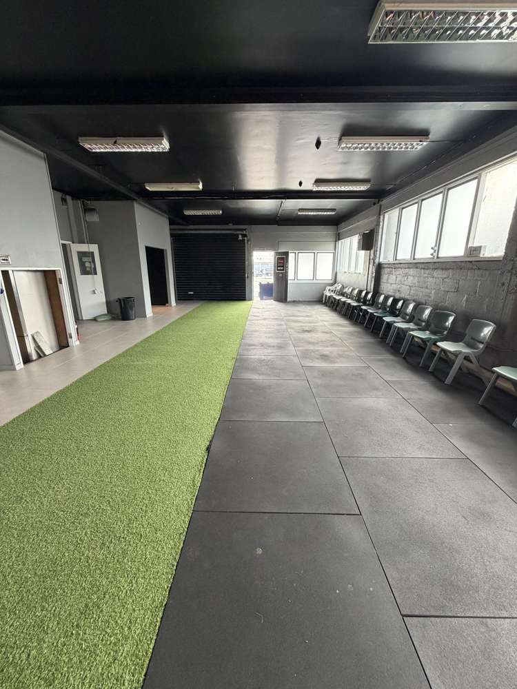 58 Frost Road Mount Roskill_1