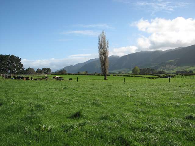 1387 Old Te Aroha Road Okauia_4