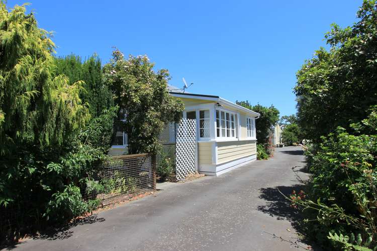 31 Rose Street Springlands_14