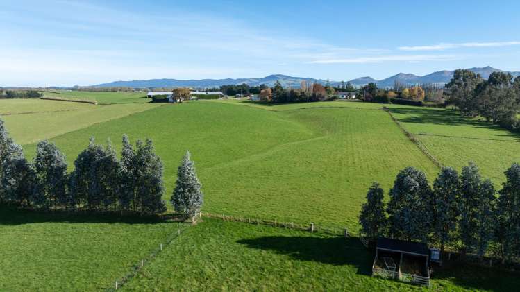 305B Waimumu Road Waimumu_15