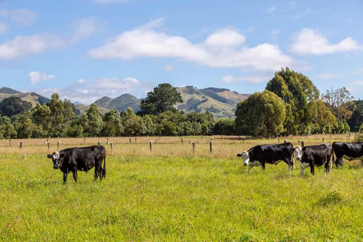 89 Hinau Gully Road Carterton_1