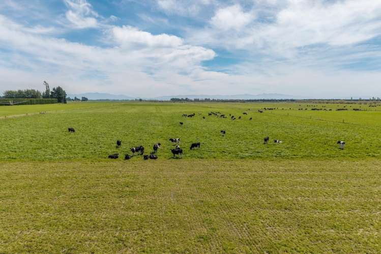 83 Highfield Road Dunsandel_8