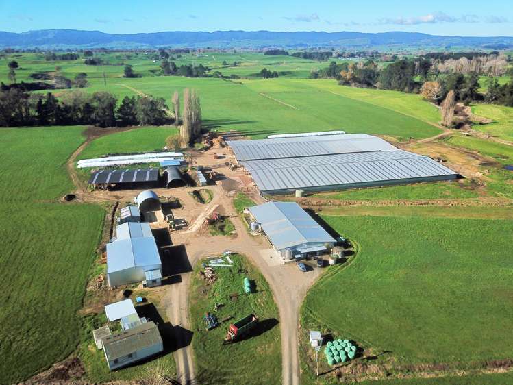 240 Bayly Road South Waikato_9