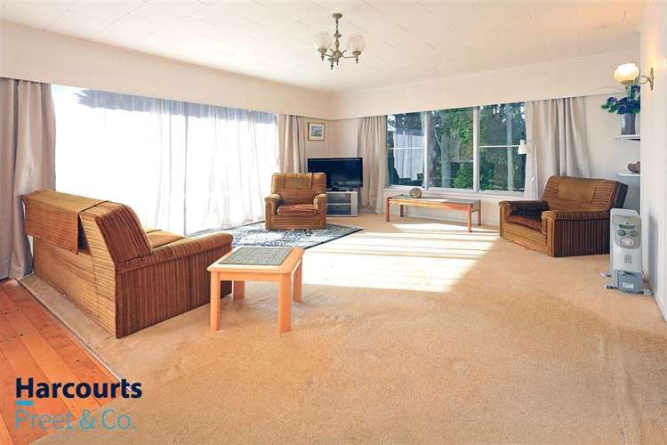 11 Kahurangi Place Hillpark_8