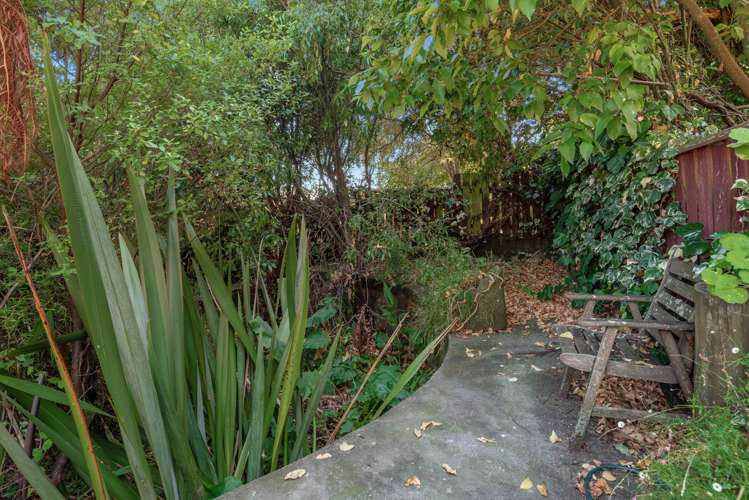 20 Suffolk Street Picton_21