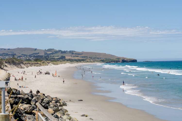 246 Forbury Road Saint Clair_13