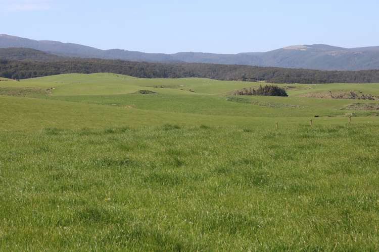 339 Rankleburn Road Pomahaka_19