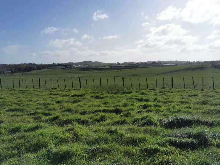 29 Aeropark Drive Dairy Flat_5