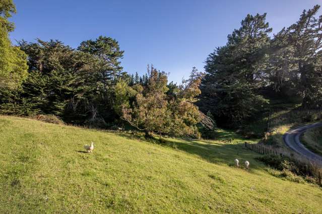 3 Adolphus Street Norsewood_4